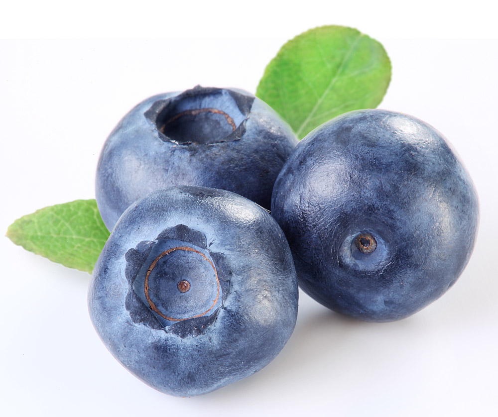 Blaubeere